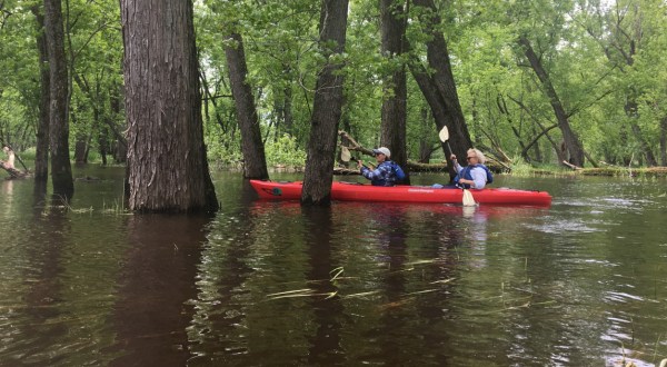 The Incredible River Experience In Wisconsin Where You’ll See Bluffs, Islands, And More