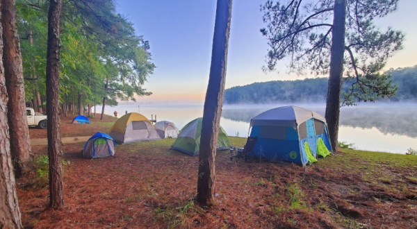 The 21 Best Campgrounds In Louisiana: Top-Rated & Hidden Gems