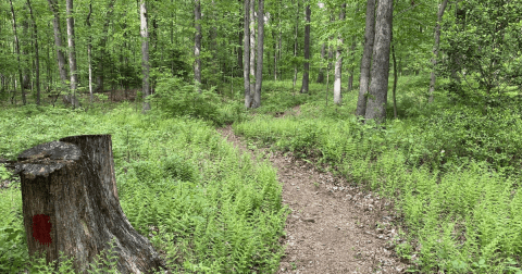Before Word Gets Out, Visit Pennsylvania’s Newest Hiking Trail