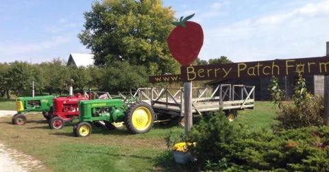 Pick Your Own Berries This Summer At The Berry Patch In Iowa