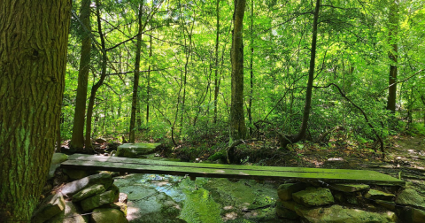 The 6-Mile Bear Creek Red Loop Trail Might Just Be The Most Enchanting Hike In Pennsylvania