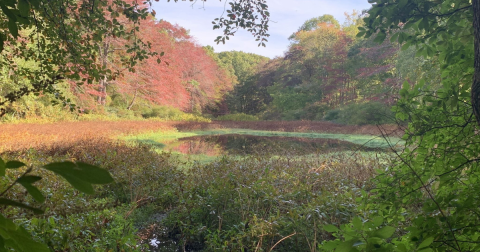 This Remote Park In Rhode Island Is The Perfect Place To Escape