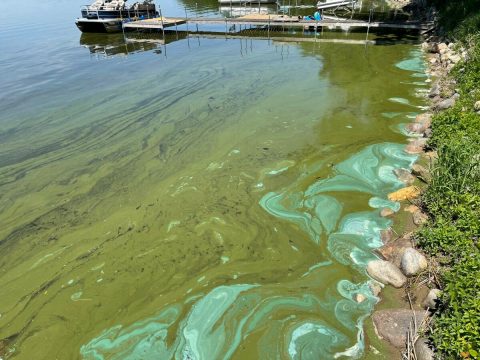 There Is A Toxic Algae Slime Threatening One Of Florida's Biggest Lakes