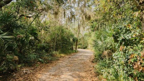 Before Word Gets Out, Visit Florida's Newest Nature Preserve
