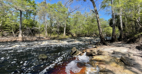 The 4.4-Mile Aucilla Sinks Loop Trail Might Just Be The Most Enchanting Hike In Florida