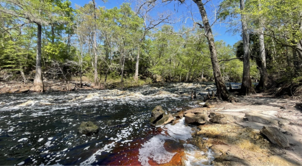 The 4.4-Mile Aucilla Sinks Loop Trail Might Just Be The Most Enchanting Hike In Florida