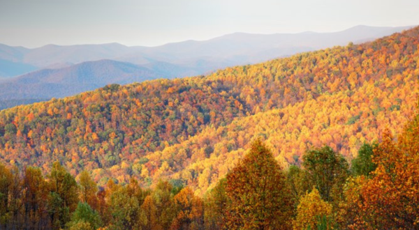 Here Are The Best Times And Places To View Virginia’s Fall Foliage In 2023