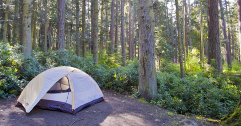 The 26 Best Campgrounds in Washington: Top-Rated & Hidden Gems