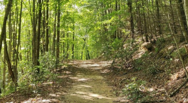 The 5.2-Mile Eastatoe Creek Heritage Preserve Trail Might Just Be The Most Enchanting Hike In South Carolina