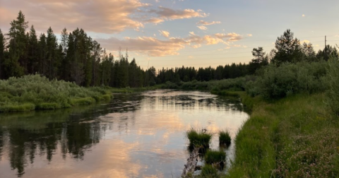 You’ll Never Forget Your Stay At Buffalo Campground, A Magical Riverfront Campground In Idaho