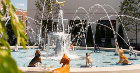 Make A Wish At This Delightfully Quirky Fountain That Features 18 Dogs In Ohio