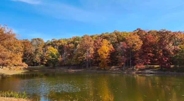 For A Quiet Day In Nature, It Doesn’t Get More Peaceful Than Ohio’s Scioto Trail State Park