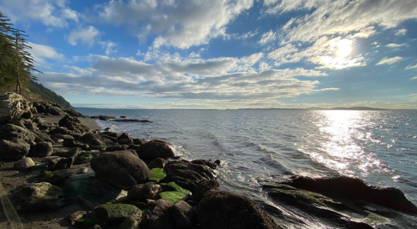 Before Word Gets Out, Visit Washington’s Newest Hike At Larrabee State Park