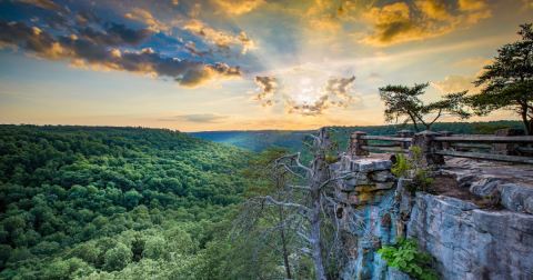 The Most Remote State Park In Alabama Is The Perfect Place To Escape