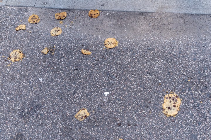 Smooshed chocolate chip cookies on the ground, taken at the Minnesota State Fair