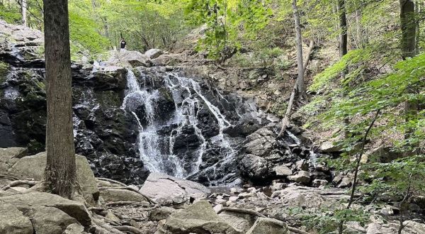 The 3.5-Mile Vista Loop Trail Might Just Be The Most Enchanting Hike In New Jersey