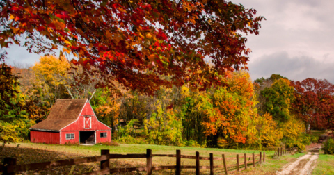Here Are The Best Times And Places To View Connecticut's Fall Foliage In 2023