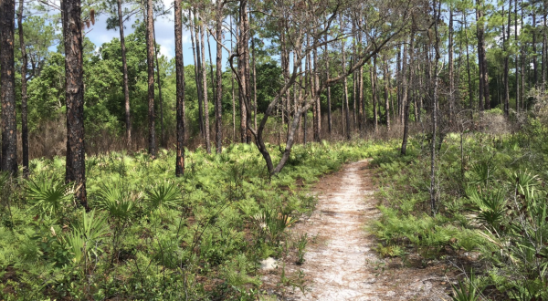 The Rugged And Remote Hiking Trail In Florida That Is Well-Worth The Effort