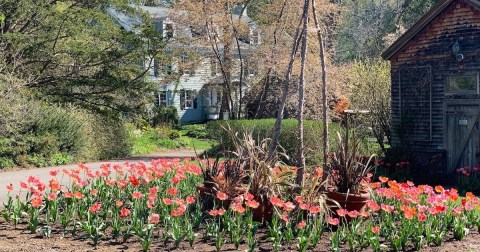 Explore A Little-Known Arboretum In This Small New Jersey Country Town
