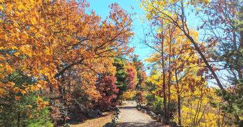 Rock Circuit Trail Loop In Massachusetts Is A Magical Hidden Gem Worth Exploring