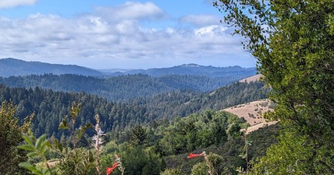 7 Short And Sweet Fall Hikes In Northern California With A Spectacular End View