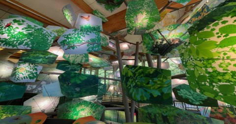The Coolest Visitor Center In Maryland Has A Whole Forest You Can Explore, From The Canopy To The Bottom Of The River