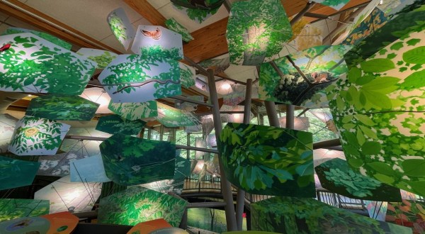 The Coolest Visitor Center In Maryland Has A Whole Forest You Can Explore, From The Canopy To The Bottom Of The River