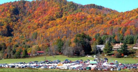 The 9 Best Fall Festivals In North Carolina For 2023 Will Put You In The Autumnal Spirit