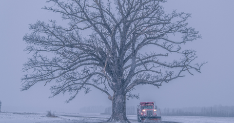 You Might Be Surprised To Hear The Predictions About Missouri’s Cold And Snowy Upcoming Winter