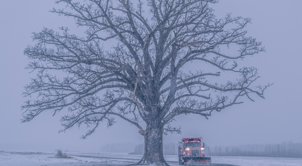 You Might Be Surprised To Hear The Predictions About Missouri’s Cold And Snowy Upcoming Winter