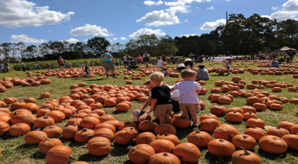 Here Are The 4 Absolute Best Pumpkin Patches In Louisiana To Enjoy In 2023