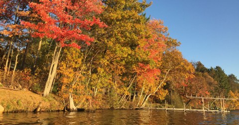 Here Are The Best Times And Places To View Wisconsin's Fall Foliage In 2023