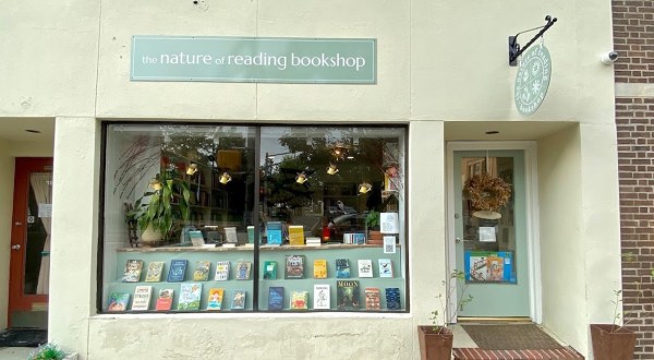 This Nature-Themed New Jersey Bookshop Fits A Lot Of Magic Into A Little Space