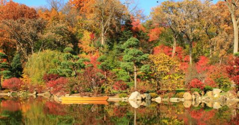 Here Are The Best Times And Places To View Illinois' Fall Foliage In 2023