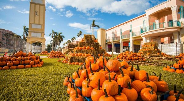 The Largest Pumpkin Patch Festival In South Florida Is A Must-Visit Day Trip This Fall