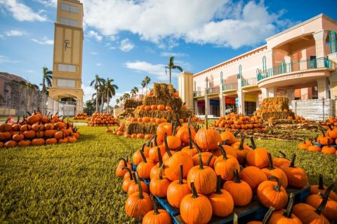 The 11 Best Fall Festivals In Florida For 2023 Will Put You In The Autumnal Spirit