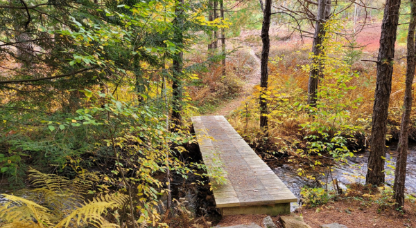 The 3.1-Mile Marion Brooks Trail Leads Hikers To The Most Spectacular Fall Foliage In Pennsylvania