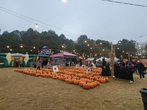 Here Are The 7 Absolute Best Pumpkin Patches In Georgia To Enjoy In 2023