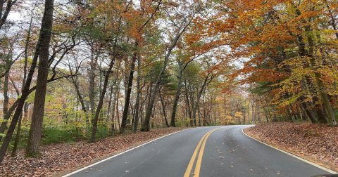 The Small State Park Where You Can View The Best Fall Foliage In Virginia