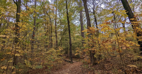 Explore This Secret Trail Around This Historic Site In Mississippi