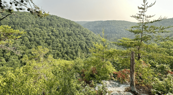The 25-Mile Cumberland Trail Might Just Be The Most Enchanting Hike In Tennessee