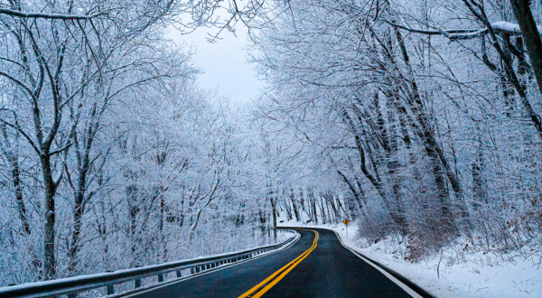 Your Ultimate Guide To Winter Attractions And Activities In Tennessee