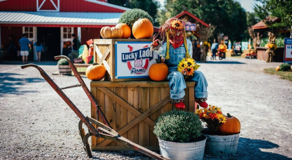 The 10 Best Fall Festivals In Tennessee For 2023 Will Put You In The Autumnal Spirit