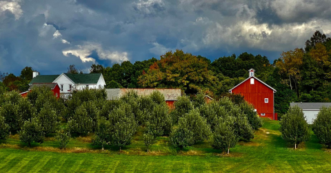This Charming Farm Near Cleveland, Beckwith Orchards, Is Picture Perfect For An Autumn Day Trip