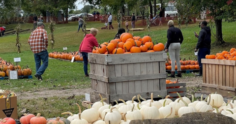The 6 Best Fall Festivals In Greater Cleveland For 2023 Will Put You In The Autumnal Spirit