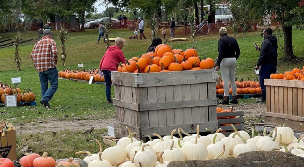 The 6 Best Fall Festivals In Greater Cleveland For 2023 Will Put You In The Autumnal Spirit