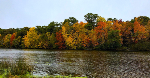 The Small State Park Where You Can View The Best Fall Foliage In Wisconsin