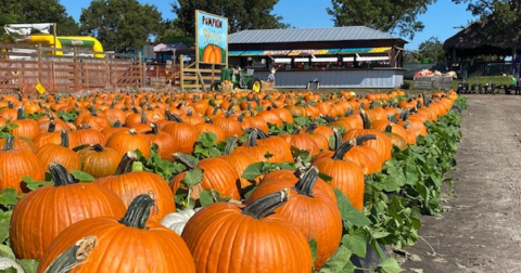 The Small-Town Harvest Festival In Florida Belongs On Your Autumn Bucket List