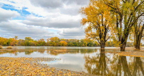Here Are The Best Times And Places To View Nebraska's Fall Foliage In 2023