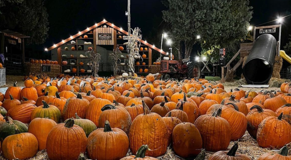 Here Are The 9 Absolute Best Pumpkin Patches In Utah To Enjoy In 2023